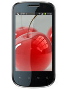 Best available price of Celkon A19 in Senegal