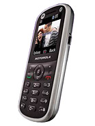 Best available price of Motorola WX288 in Senegal