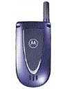 Best available price of Motorola V66i in Senegal